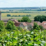 Larrey vue des vignes1 (800x521)