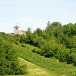 Mont Lassois2 (800x518) (2)