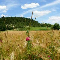 Paysage des jumeaux de Mssingy